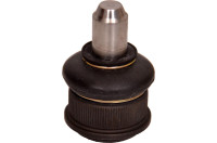 Sarniir Ligier JS50 / IXO / X-Too