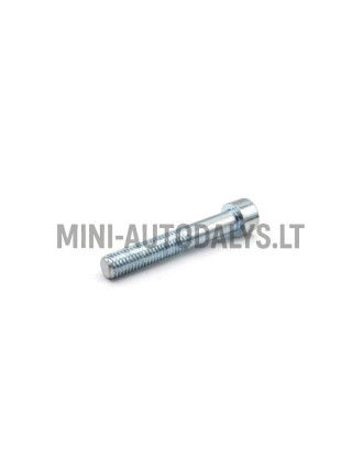 Pidurisadula polt Ligier M10x60