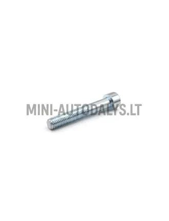 Pidurisadula polt Ligier M10x60