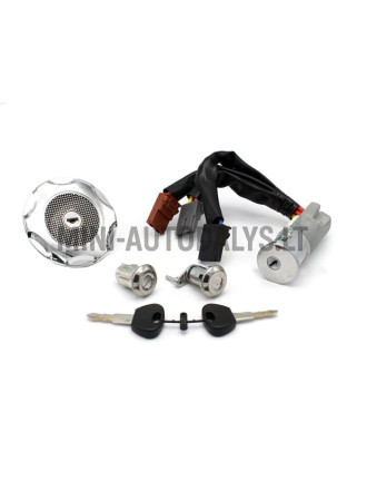 Lukukomplekt (3 juhtmega) Microcar / Ligier