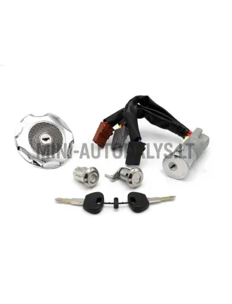 Lukukomplekt (3 juhtmega) Microcar / Ligier