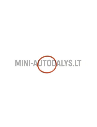 O-rõngas nukkvõlli hooratta poolsel küljel Lombardini 502 FOCS / Progress