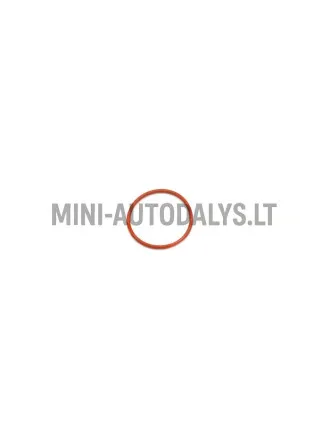 O-rõngas nukkvõlli hooratta poolsel küljel Lombardini 502 FOCS / Progress