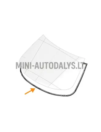 Esiklaasi kumm Ligier X-Too RS