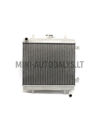 Radiaator Grecav EKE / Sonique