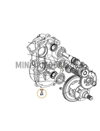Magnetiline õli väljalaskekork käigukastile Aixam