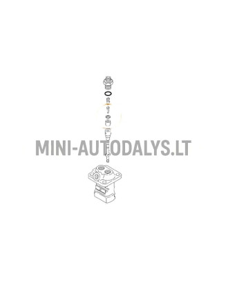 Yanmar kütuse sissepritseklapp