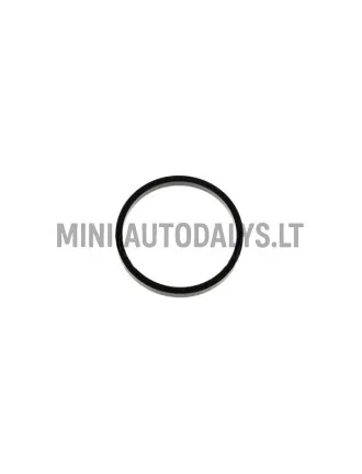 Sisselaskekollektori tihend Lombardini 442 / 480 / 492 DCI