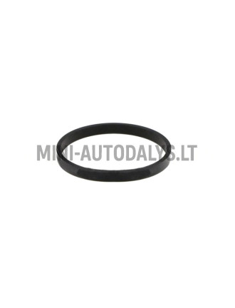 Termostaadi tihend Lombardini 442 / 480 / 492 DCI