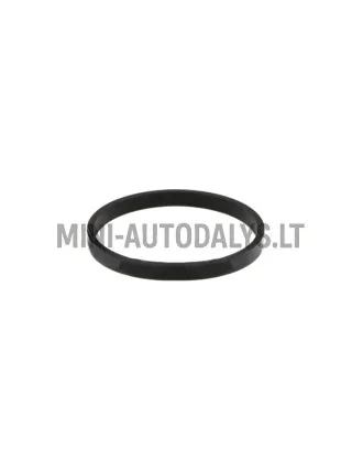 Termostaadi tihend Lombardini 442 / 480 / 492 DCI