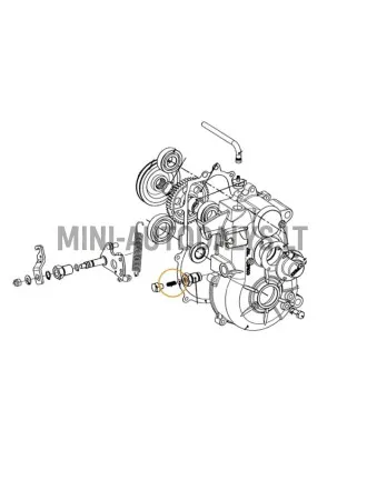 Käigukasti valikuhoova kuulvedru Comex