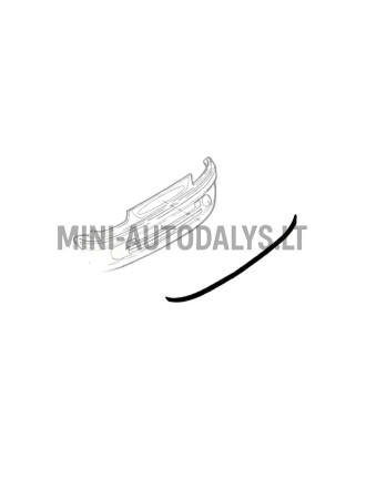 Microcar Virgo põrkeraudade kumm (1 meeter)