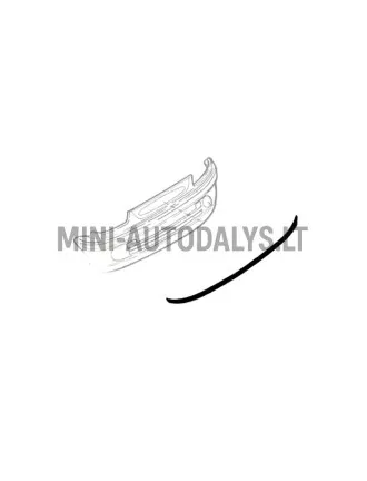 Microcar Virgo põrkeraudade kumm (1 meeter)