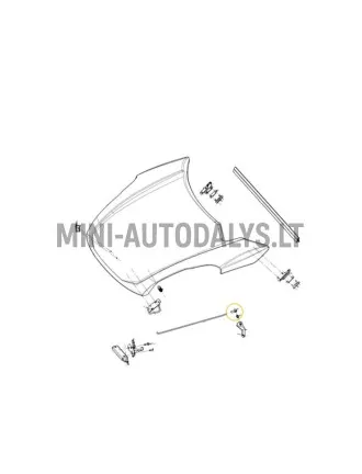 Jalaraua kate Ligier JS50 / JS50L Ph1