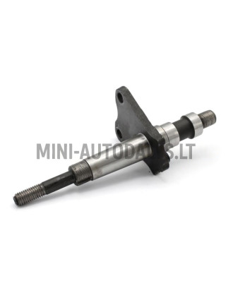 Tagaratta telg Microcar / Ligier / Due