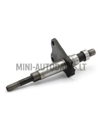 Tagaratta telg Microcar / Ligier / Due