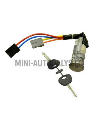 Süütevõti Microcar Virgo / Ligier Nova