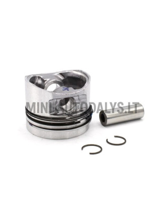 Kolb ja kolvirõngad Lombardini 502 Progress Euro4 (STD)