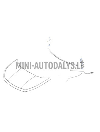 Kapoti hinge esiosa parem Ligier JS60