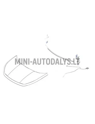 Kapoti hinge esiosa parem Ligier JS60