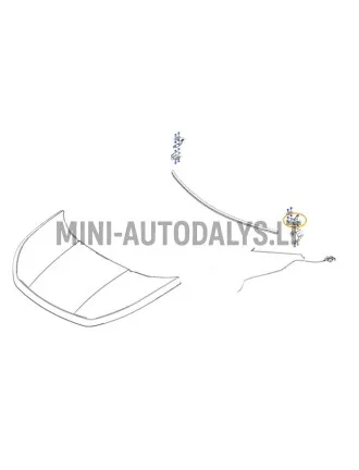 Kapoti hing esiosa vasak Ligier JS60