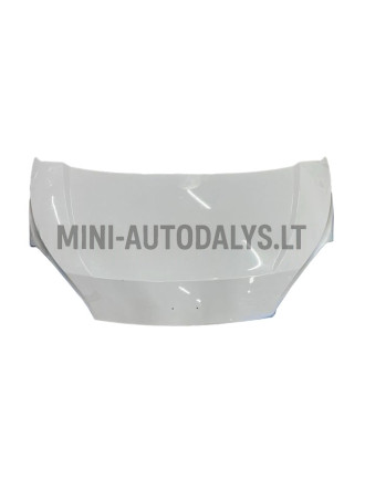 Kapott Ligier Flex / Microcar M.Cross