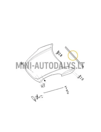 Kapoti tihend Ligier JS50 / JS50L Ph1