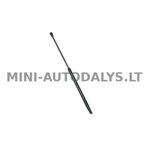 Tagaluugi amortisaator Ligier IXO