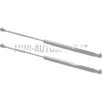 Tagaluugi amortisaatorite komplekt Ligier JS50 / JS50L