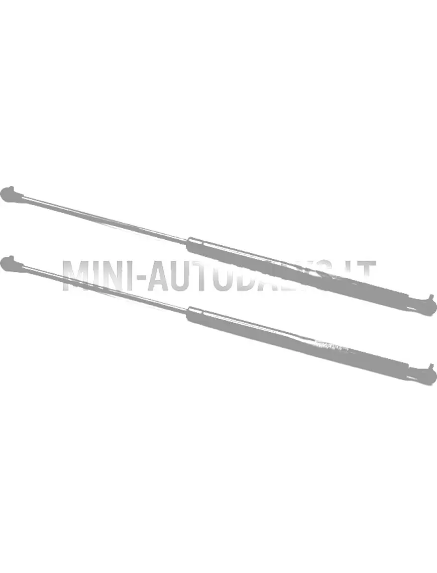 Tagaluugi amortisaatorite komplekt Ligier JS50 / JS50L