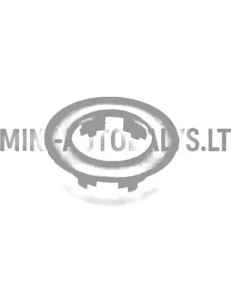 Kütusepaagi täitekaela rõngas