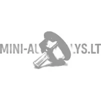 Aixam põrkeraua kinnitus