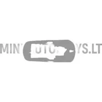 Kummist uksekäepide Ligier JS50 /JS50L / JS60