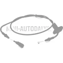 Tagurduskäigu käiguvahetustross Microcar MGO1 / MGO2 / Due First