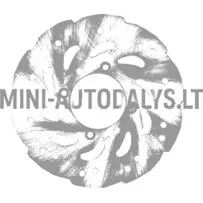 Vasakpoolne tagumine piduriketas Chatenet (Ø 200 mm)