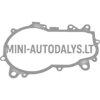 Käigukasti tihend Comex