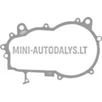 Käigukasti tihend Aixam