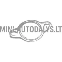 Väljalaske tihend Lombardini 502 FOCS / Progress