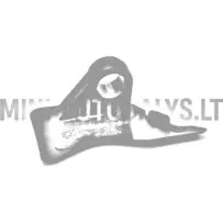 Kapoti hing parem eesmine Aixam Impulsion