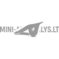 Aixam Impulsion esiosa vasakpoolne mootorikatte hing