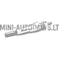 "Yanmar" mootori eelsüüteküünal