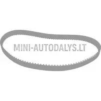 Nukiajamisrihm Lombardini DCI (124 hammast)