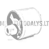 Käigukasti kumm Ligier Lombardini DCI