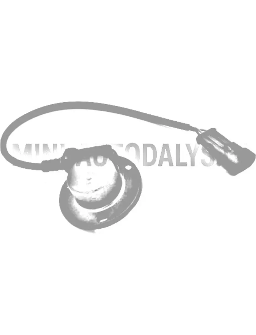 Elektriline spidomeetri ajami andur