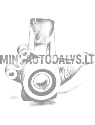 Vasak roolivarda ots Microcar / Ligier