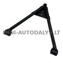 Esivedrustuse kolmnurk Microcar / Ligier