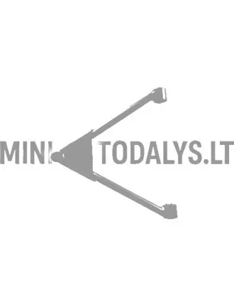 Esivedrustuse kolmnurk Microcar / Ligier