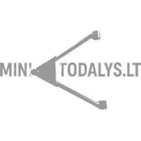 Esivedrustuse kolmnurk Microcar / Ligier