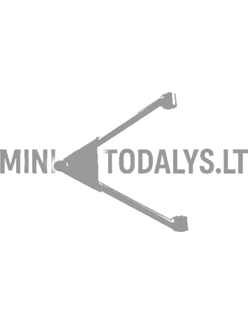 Esivedrustuse kolmnurk Microcar / Ligier