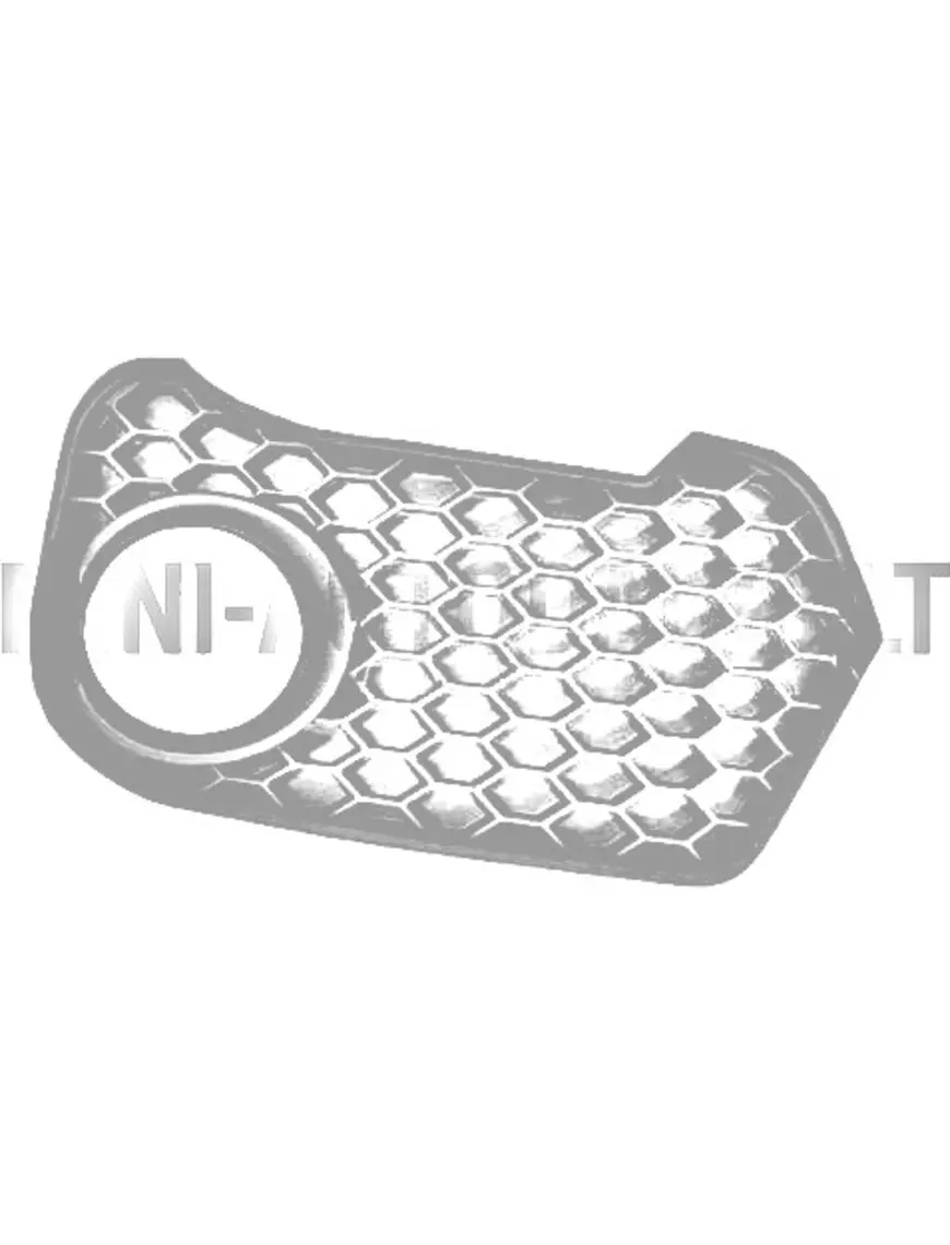 Eesmise stange iluvõre eesmine parem pool Aixam 2013 Coupe / City